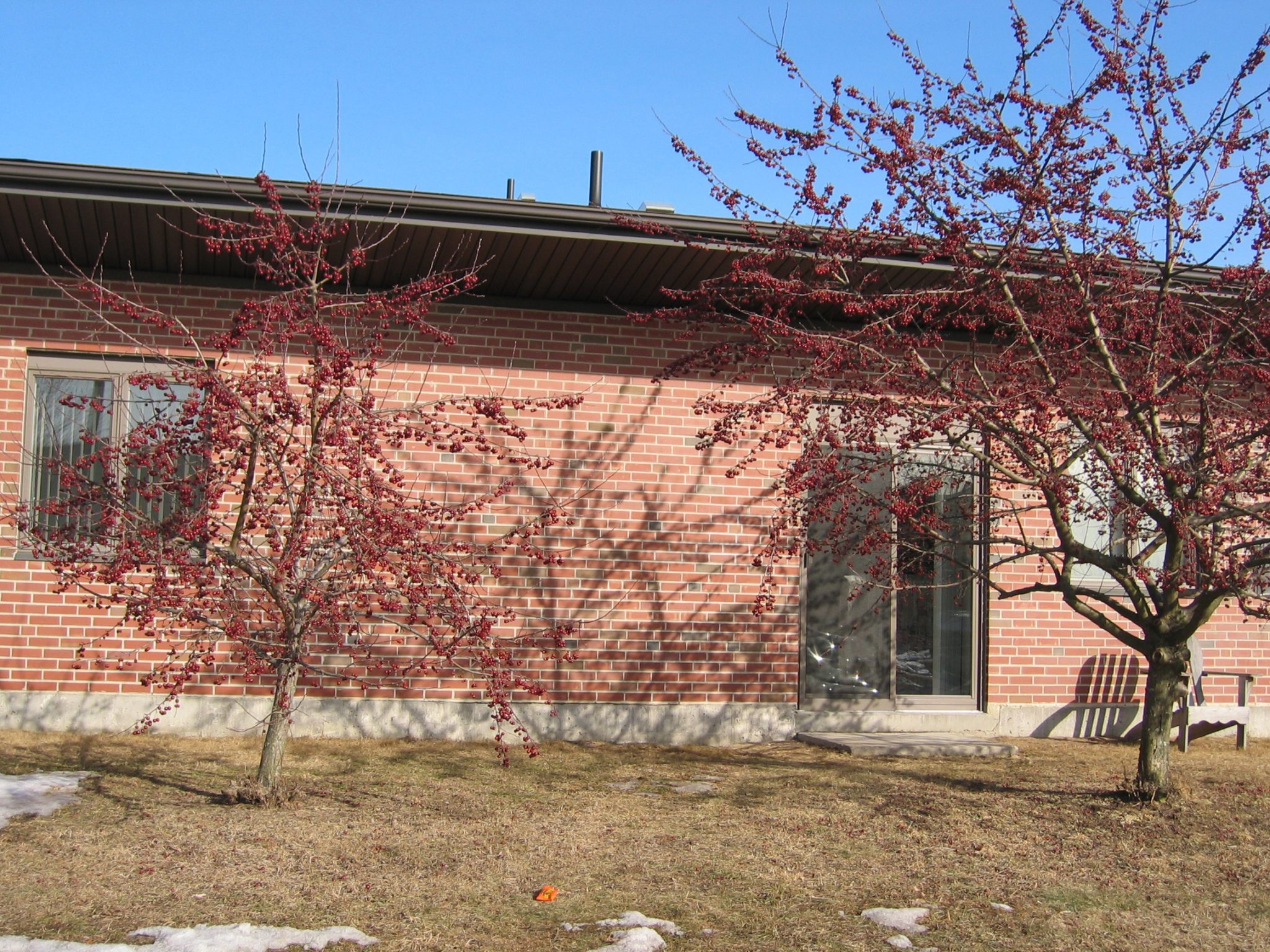 Senior Housing & Rental Apartments in CT Elder Housing For Rent